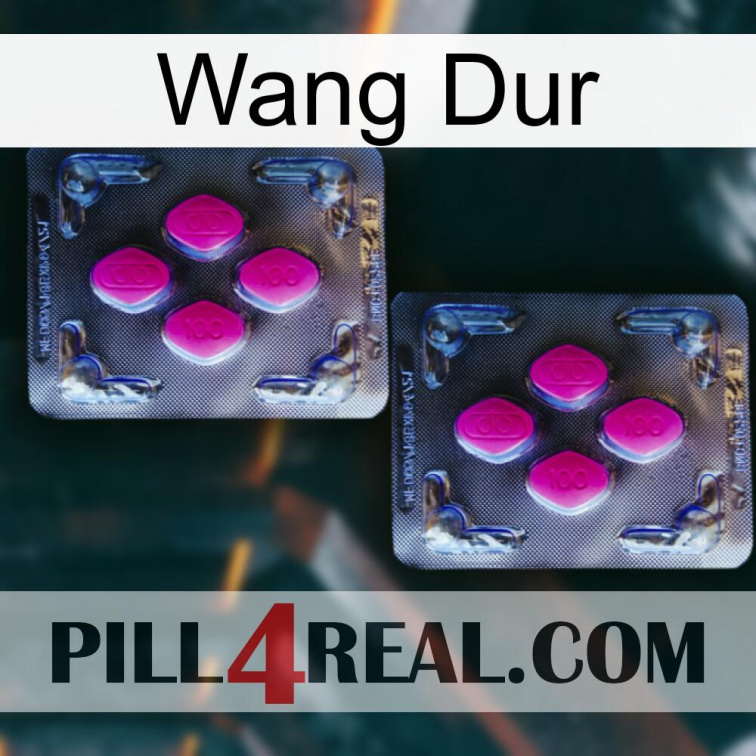 Hard Wang 01